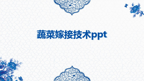 蔬菜嫁接技术ppt