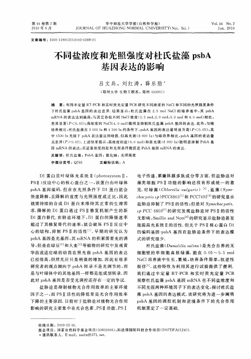 不同盐浓度和光照强度对杜氏盐藻psbA基因表达的影响