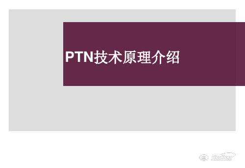 2-PTN原理简介