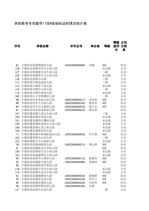 学前教育专项督导17项B级达标情况统计表