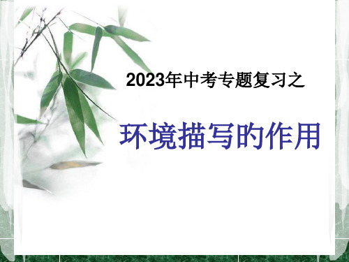 中考复习之环境描写作用省名师优质课赛课获奖课件市赛课一等奖课件