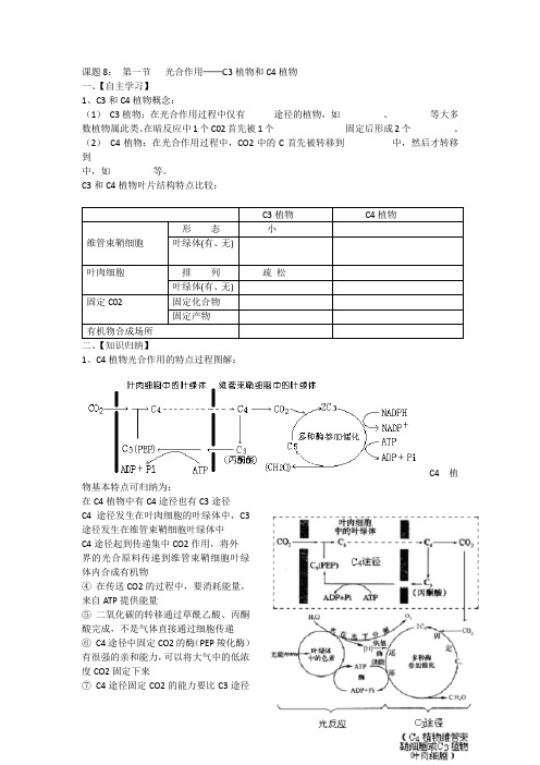 光合作用──C3植物和C4植物