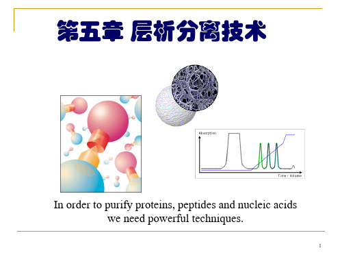 第五章 层析分离技术