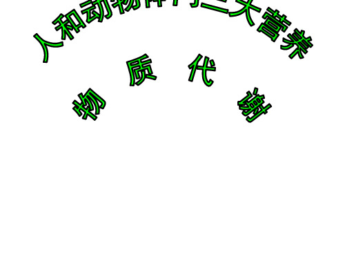 (2019版)三大营养物质代谢