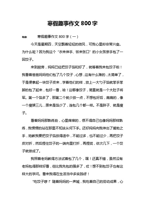 寒假趣事作文800字