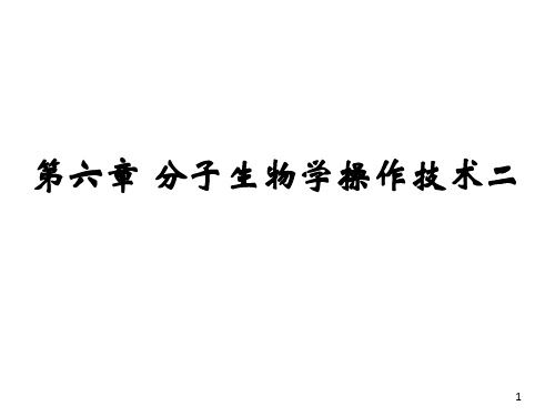 分子生物学第六章--分子生物学操作技术二
