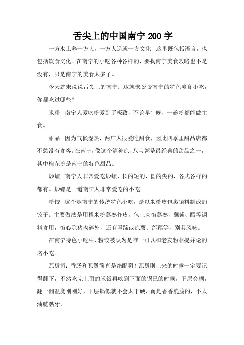 舌尖上的中国南宁200字