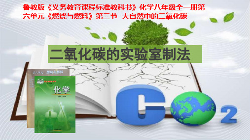 第三节大自然中的二氧化碳-二氧化碳的实验室制法课件(鲁教版(五四制))