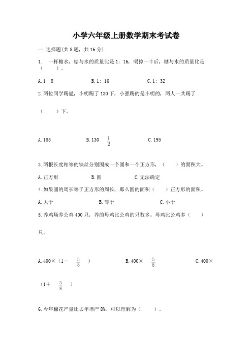 小学六年级上册数学期末考试卷(典优)word版