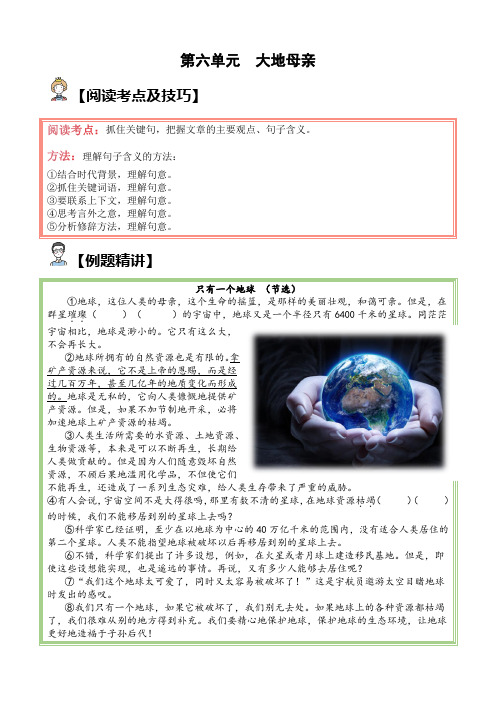 第六单元大地母亲(试题)六年级语文上册部 部编版(含答案、解析)