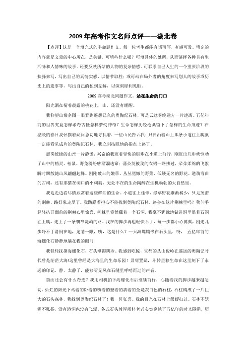 2009年高考作文名师点评——湖北卷