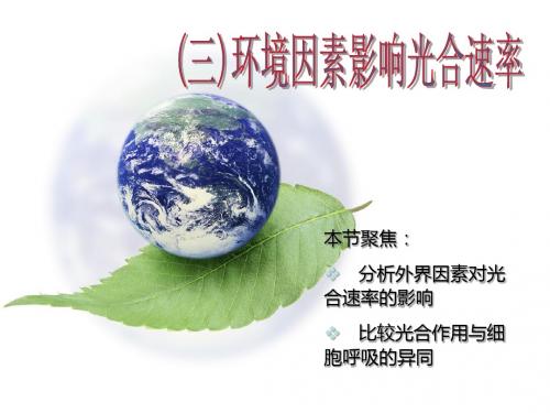 人教版教学课件浙江省温州市龙湾中学高中生物 必修一《环境因素影响光合速率》课件