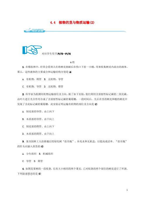 八年级科学下册 4.4 植物的茎与物质运输(2)同步练习 (新版)浙教版(1)