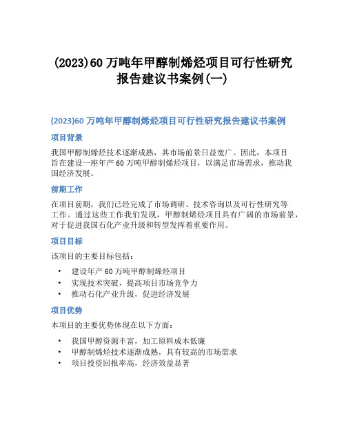 (2023)60万吨年甲醇制烯烃项目可行性研究报告建议书案例(一)