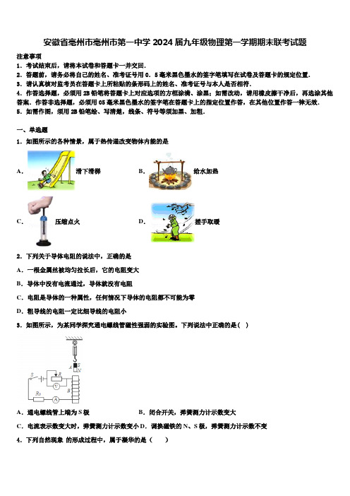 安徽省亳州市亳州市第一中学2024届九年级物理第一学期期末联考试题含解析