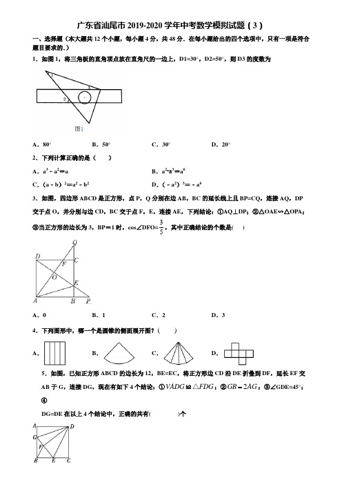 广东省汕尾市2019-2020学年中考数学模拟试题(3)含解析