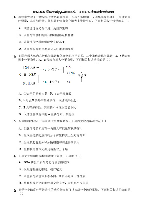 2022-2023学年安徽省马鞍山市高一4月阶段检测联考生物试题