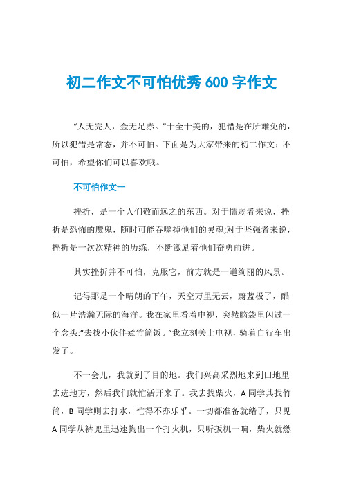 初二作文不可怕优秀600字作文