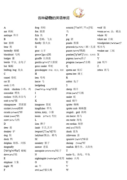 各种动物的英语单词