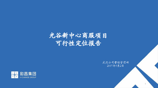 2017光谷新中心商服项目可行性定位报告