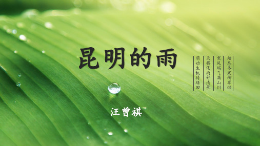 《昆明的雨》ppt课件