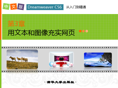 第3章用文本和图像充实网页 中文版Dreamweaver CS6网页制作课件