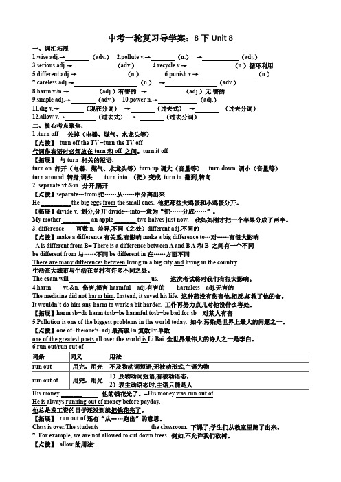 2024年牛津译林版中考英语一轮复习导学案八年级下册 8B Unit 8 