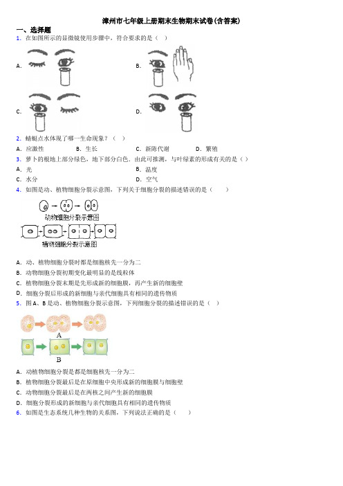 漳州市七年级上册期末生物期末试卷(含答案)