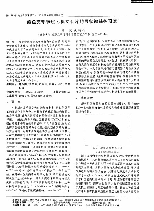 鲍鱼壳珍珠层无机文石片的层状微结构研究