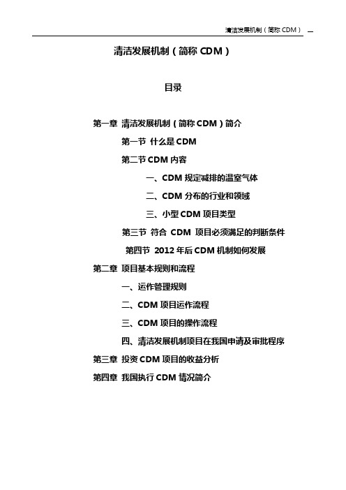 CDM简介流程投资收益情况MicrosoftWord文档