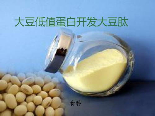 大豆低值蛋白开发大豆肽,研一食品科学汤资料