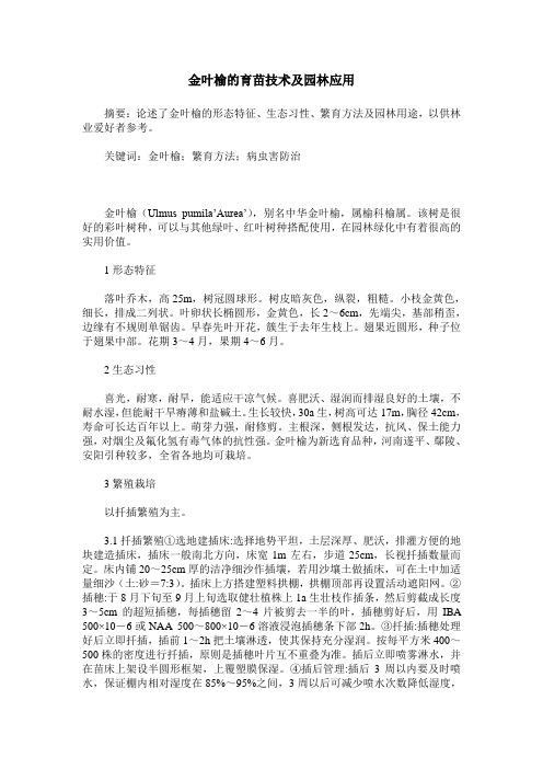 金叶榆的育苗技术及园林应用