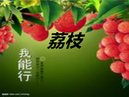 荔枝PPT课件