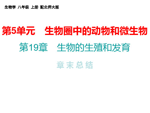 2018年秋八年级生物上册第19章  生物的生殖和发育 章末总结