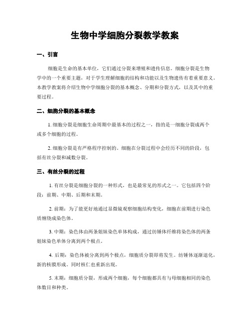 生物中学细胞分裂教学教案