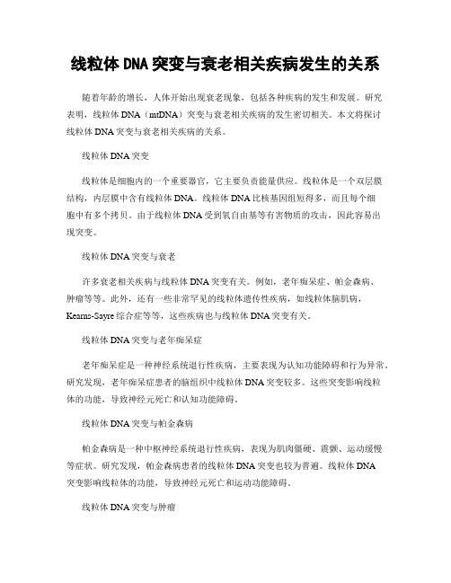 线粒体DNA突变与衰老相关疾病发生的关系