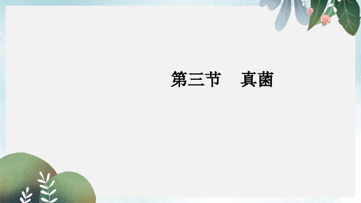 八年级生物上册第五单元第四章第三节真菌课件新版新人教版(1)