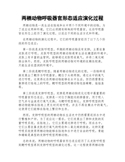 两栖动物呼吸器官形态适应演化过程