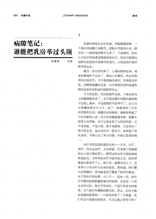 病隙笔记:谁能把乳房举过头顶 (非虚构)