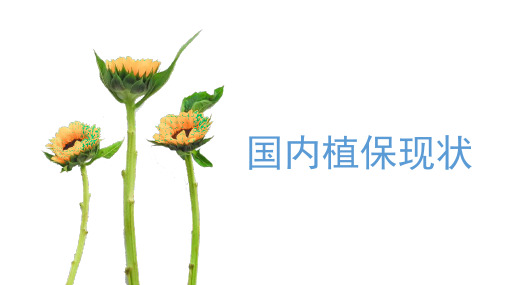 无人机植保技术：国内植保现状