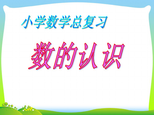 苏教版六年级数学下册《数的认识(数与代数)》总复习课件