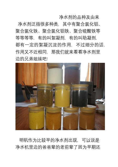 净水剂的品种及由来