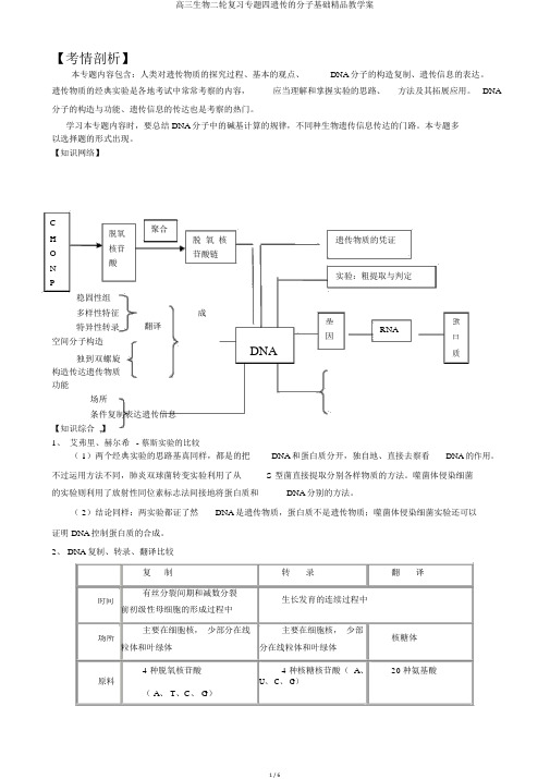 高三生物二轮复习专题四遗传的分子基础精品教学案