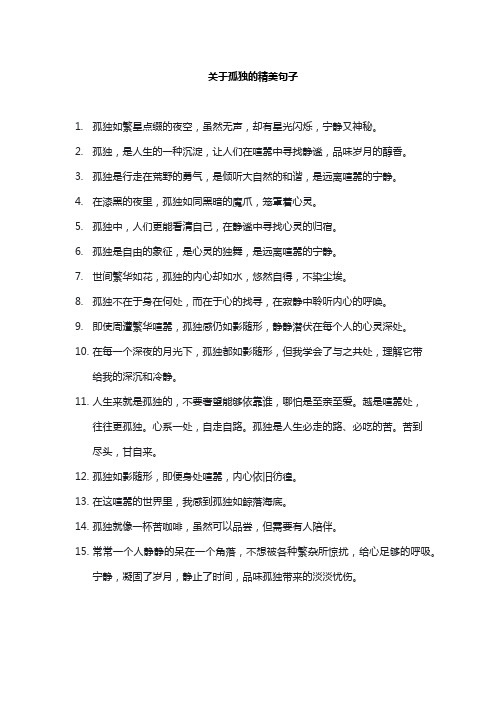 关于孤独的精美句子