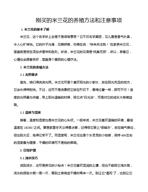 刚买的米兰花的养殖方法和注意事项