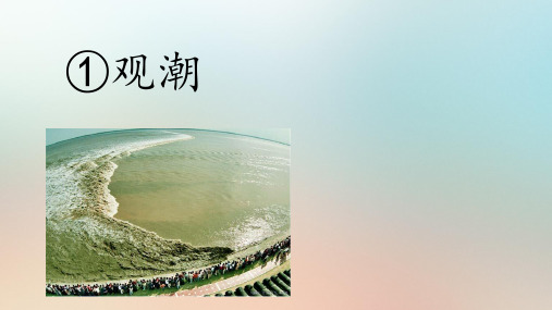 人教部编版语文《观潮》PPT精美课件1