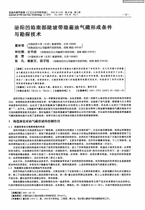 泌阳凹陷南部陡坡带隐蔽油气藏形成条件与勘探技术