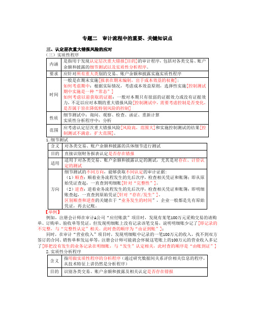 文档：8_专题二 审计流程中的重要、关键知识点(6)