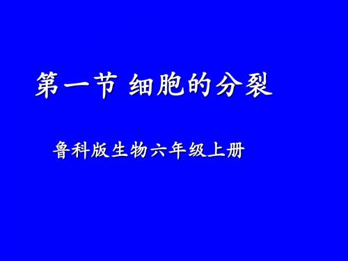 鲁科版生物六年级上册《细胞的分裂》课件