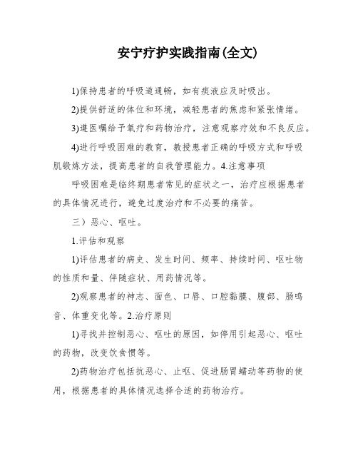 安宁疗护实践指南(全文)